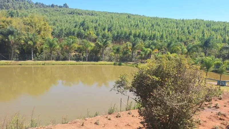 Imagem Vendo Sítio em Lagoa Dourada / MG , com 12.500 m² de área.