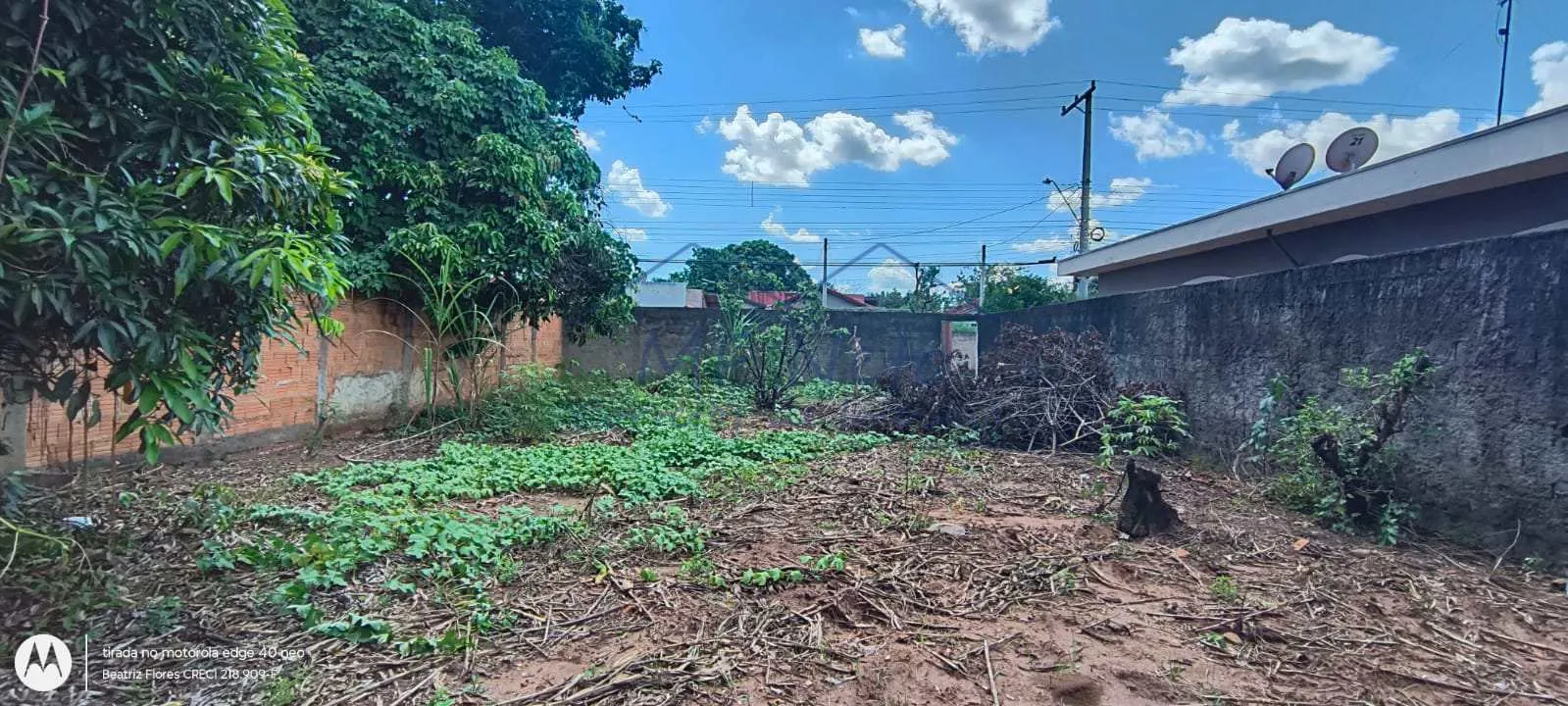 Imagem Terreno Padrão