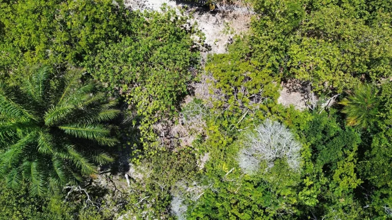 Imagem FAZENDA BEIRA MAR E MATA ATLANTICA