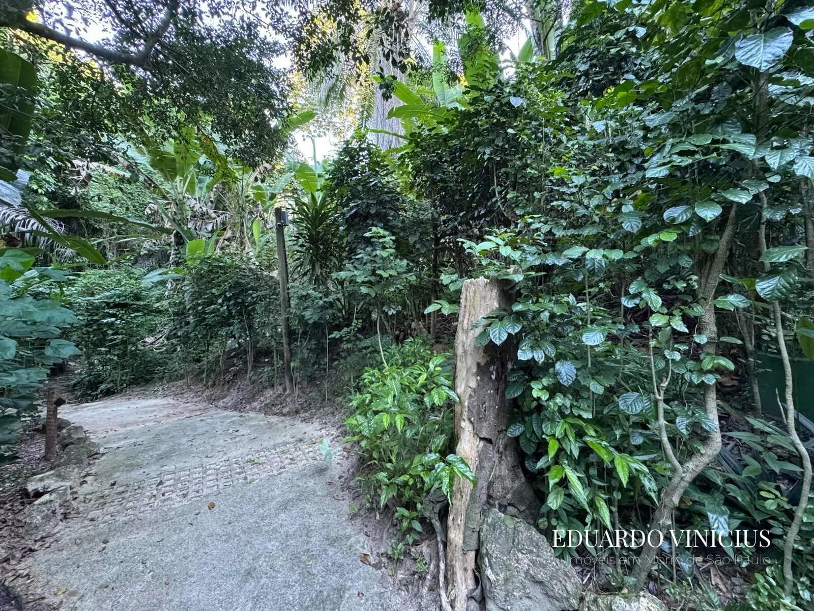Imagem Vista Bela - Terreno com 560m² À Venda no Condomínio Vista Bela em Morro de São Paulo