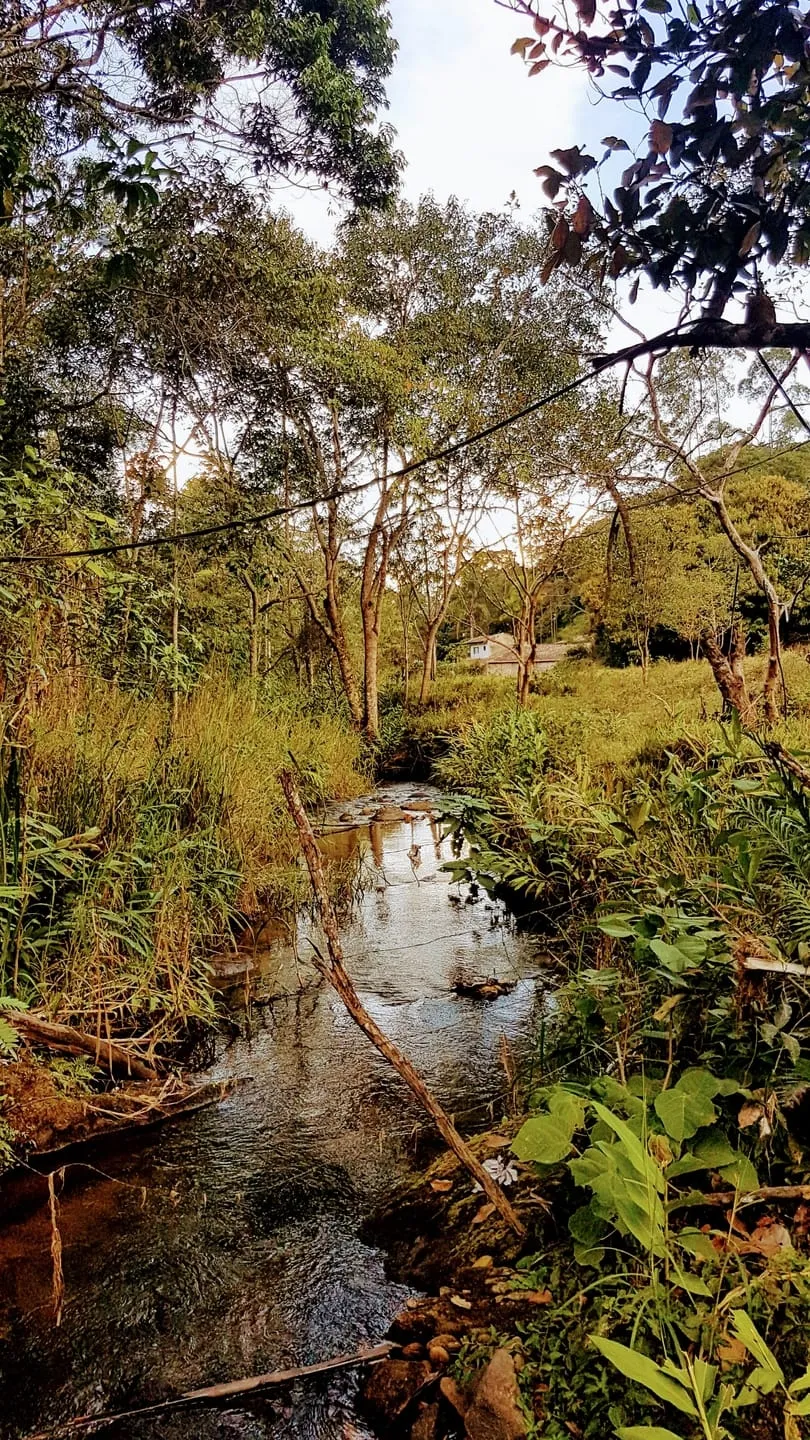 Foto do imóvel Chácara à venda 1 Quarto, 110000.25M², Água Preta, Pindamonhangaba - SP
