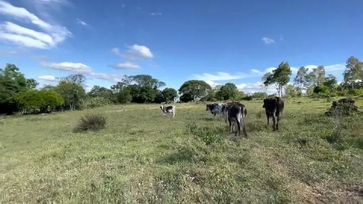 Imagem Chácara para Venda em Santo Antônio da Patrulha / RS no bairro Roça Grande