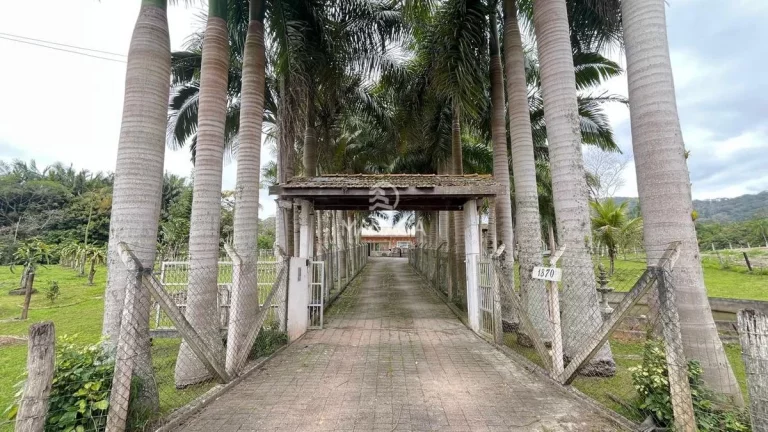 Imagem Sítio Alto Padrão 68.000m²