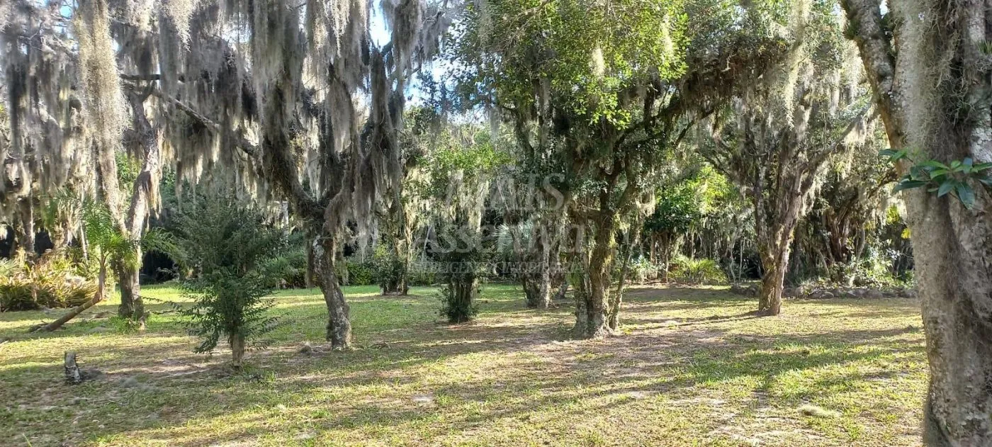 Imagem Excelente propriedade as margens da Lagoa das Malvas em Maquiné/RS - AIRBNB