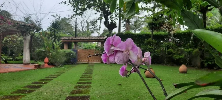 Imagem Oportunidade !!! Casa Praia Tabatinga Caraguatatuba - SP
