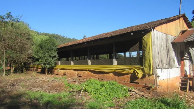 Imagem Área Agrícola para Venda em Lindóia do Sul, Linha Mimosa