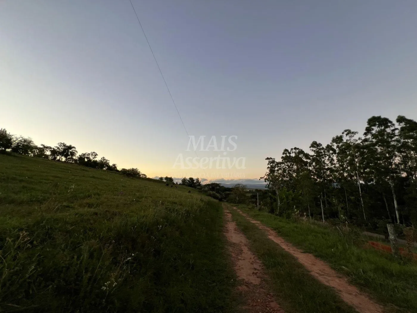 Imagem Chácara de 10 hectares para venda em Lomba Grande, Novo Hamburgo
