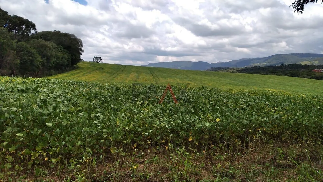 Imagem Chácara à venda, BR277 Prudentópolis, PRUDENTOPOLIS - PR