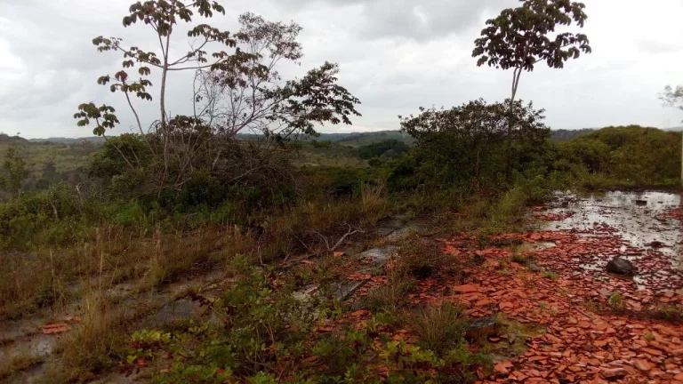 Imagem ÁREA EM CAMAÇARI