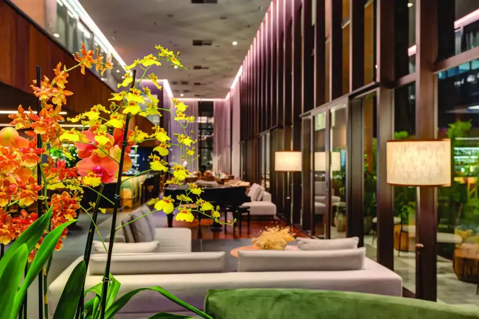 Imagem Qoya Hotel São Paulo - Qoya Hotel São Paulo