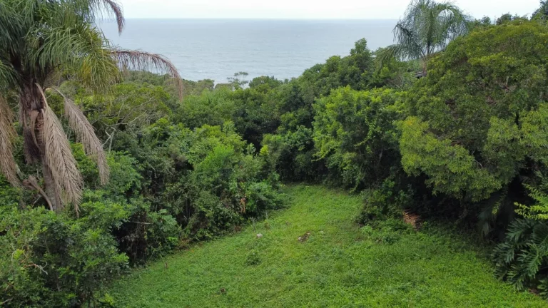 Imagem Terreno com Vista para o Mar na Praia da Ferrugem - Garopaba-SC!