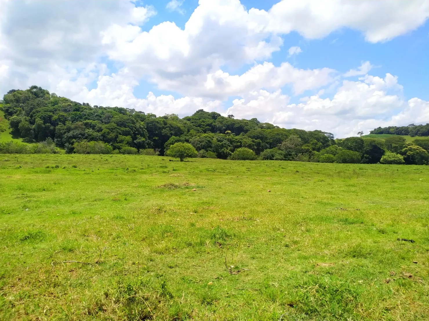 Imagem Chácara à venda 2 Quartos, 411400M², Zona Rural, Cunha - SP