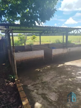 Imagem Fazenda/Sítio com 6 alqueires entre Ituaçu e Itaberaí 7 km de chão em Itaberaí em Goiânia GO