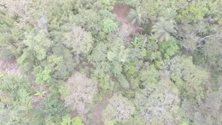Imagem Sítio à venda, 3 quartos, 20 vagas, MUNIZ - Sabará/MG