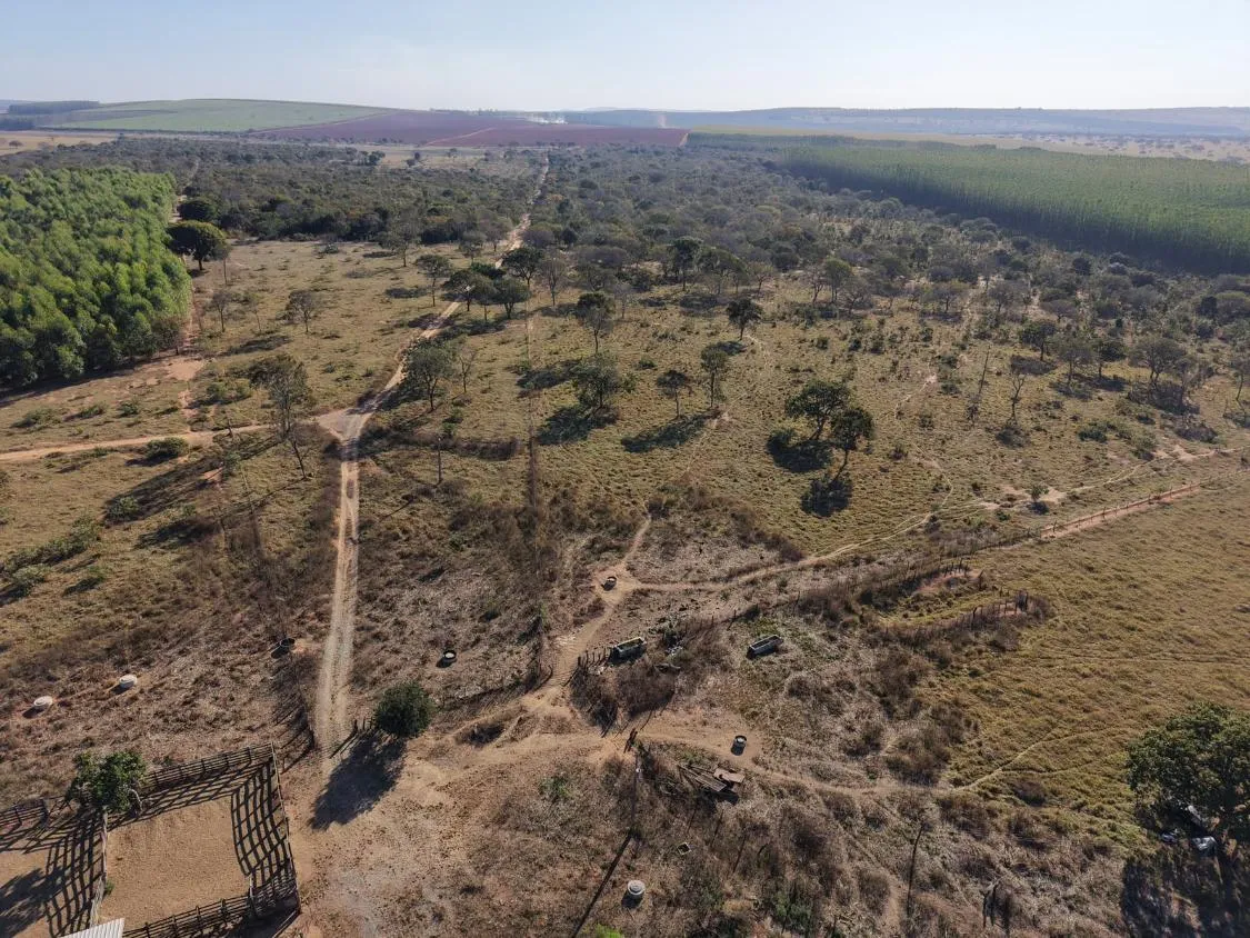 Imagem Fazenda à Venda em Papagaios/MG ? 150 Hectares