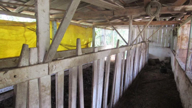 Imagem Área Agrícola para Venda em Concórdia, Rural