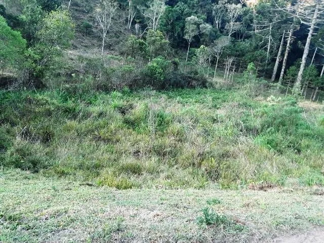 Imagem Chácara à venda 170000M², Paraibuna, Cunha - SP