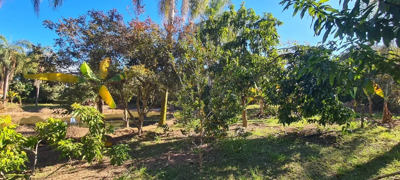 Imagem Chácara à venda em Quadra-SP, bairro Aleluia: 3 quartos, 1 sala, 2 banheiro, 120,00m² de área. Imperdível!
