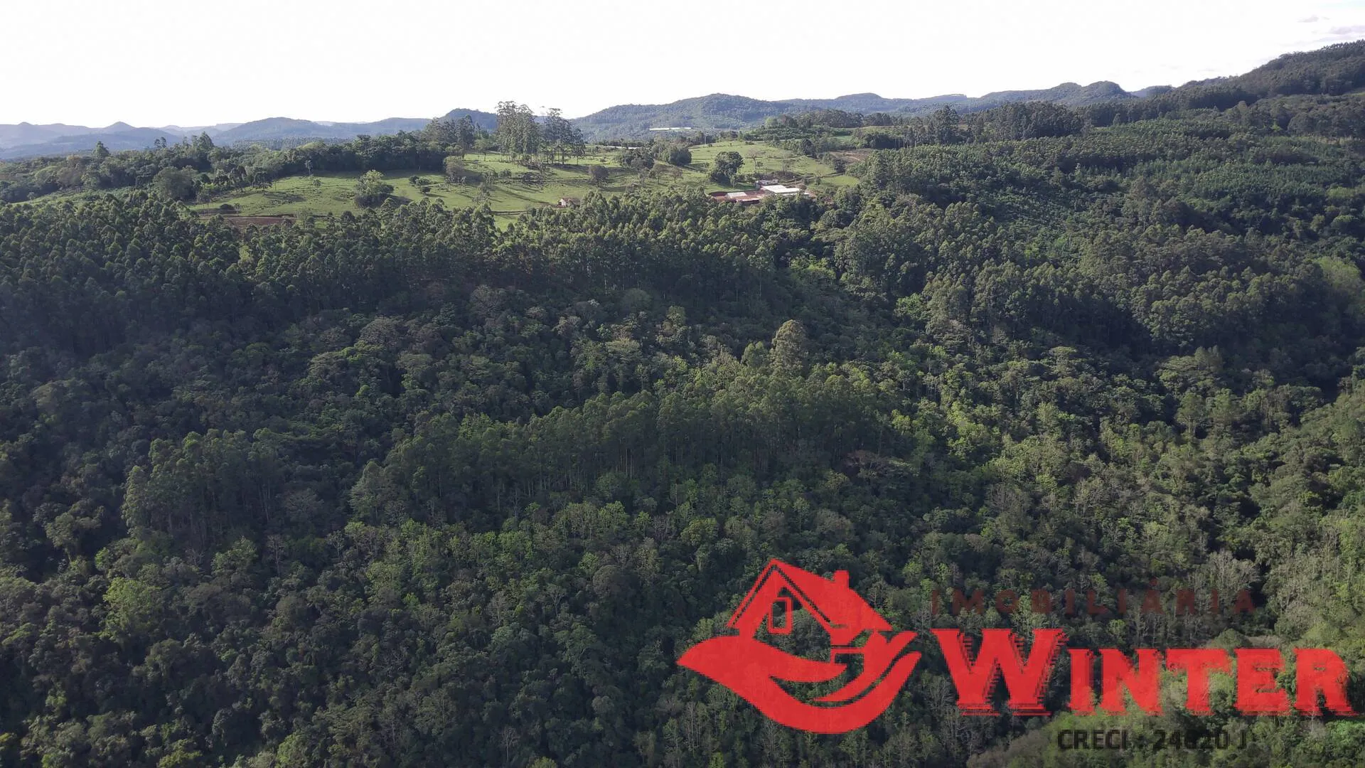 Imagem Área de terras com 7,25 hectares em Morro Grande, Linha Nova.
