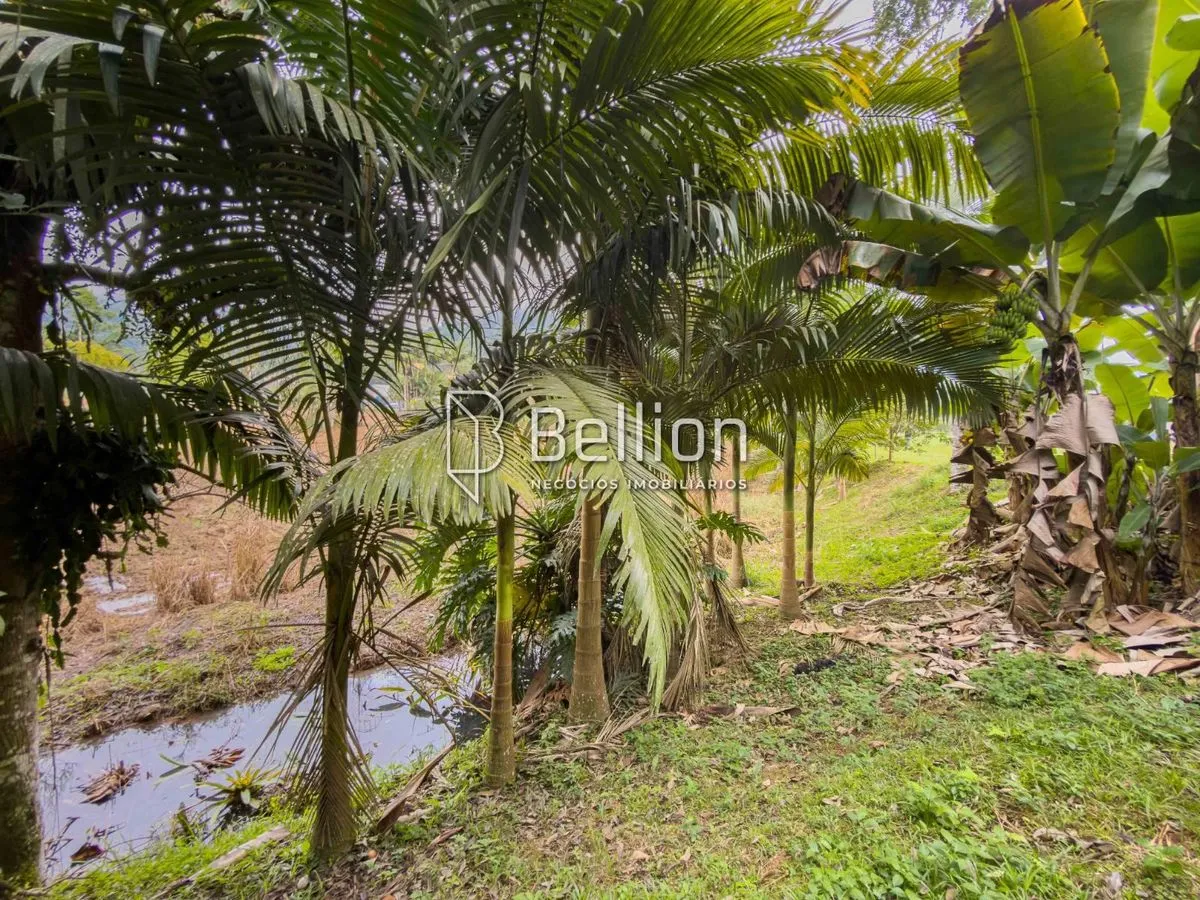 Imagem Investimento com alto potencial de valorização ou o lugar ideal para construir o seu refúgio em meio à natureza, este terreno é para você.