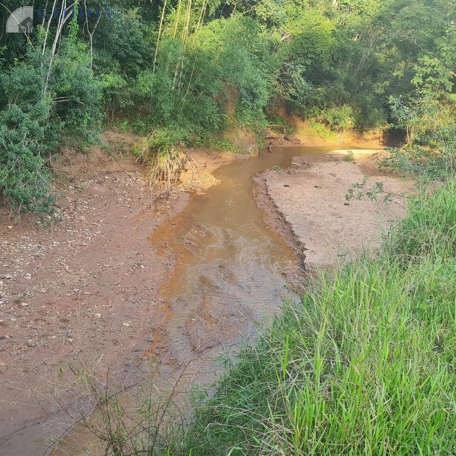 Imagem Área Rural à Venda com Ótimo Acesso e Energia - 2,3 Alqueires