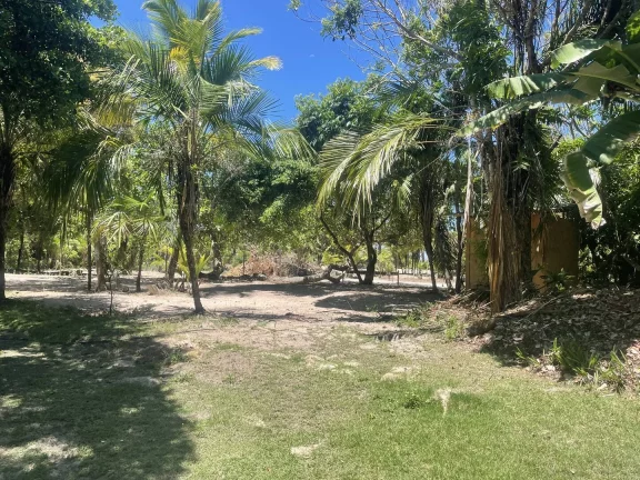 Imagem Terreno Praia Arandis