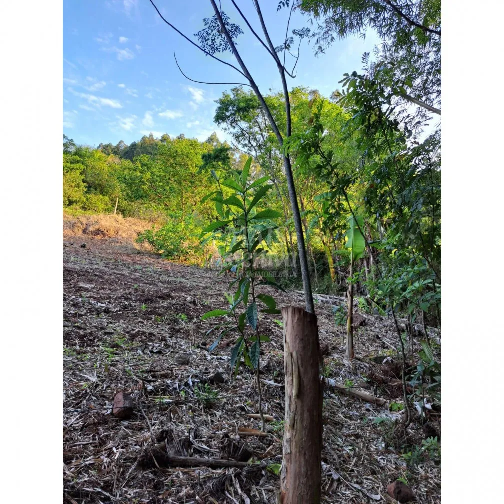 Imagem Santo Antônio da Patrulha RS - Localidade de Pinheirinhos.
R$ 270.300,00 A que busca uma área...