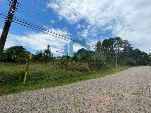 Imagem Área p/ incorporar no Paisagem Renoir na Granja Viana