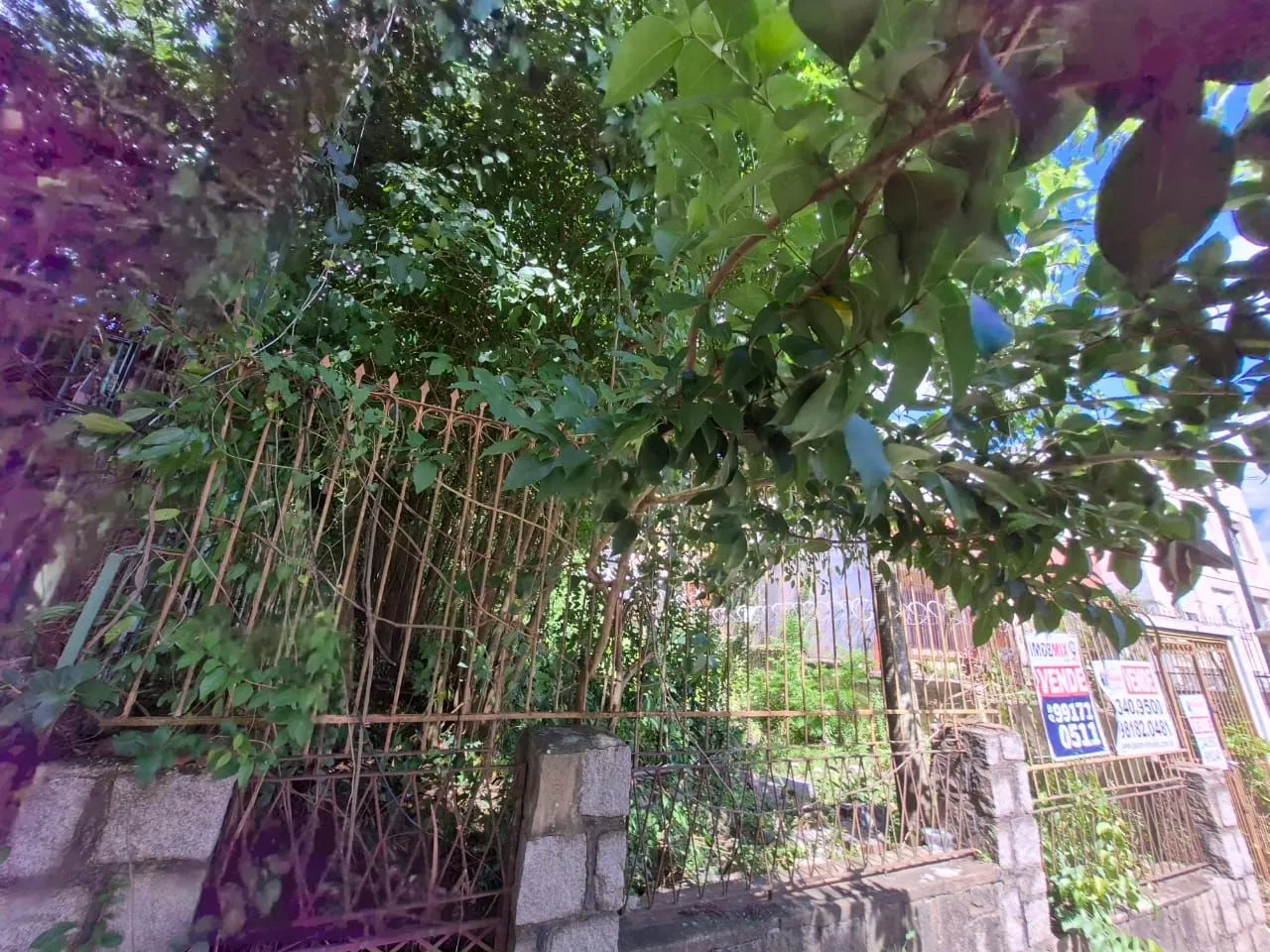 Imagem EXCELENTE OPORTUNIDADE DE TERRENO - LOCALIZAÇÃO ESTRATÉGICA!