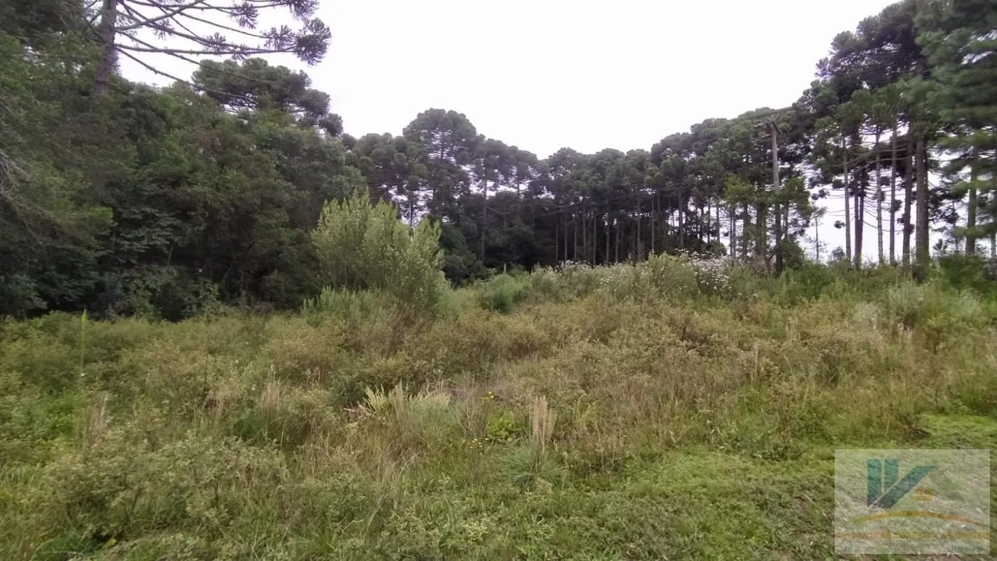 Imagem Terreno para Venda em São José dos Pinhais, Contenda