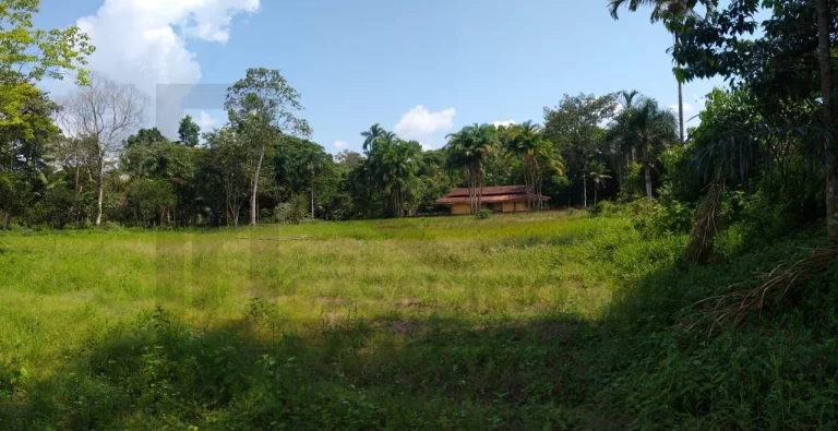 Imagem CASAL IMÓVEIS VENDE SÍTIO EM MARITUBA 53.000 M2 - ESTRADA URIBOCA - BR 316 - ALÇA VIÁRIA