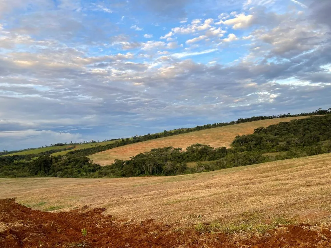 Imagem FAZENDA À VENDA - ENTRE RIOS DE MINAS 500 hectares de terra