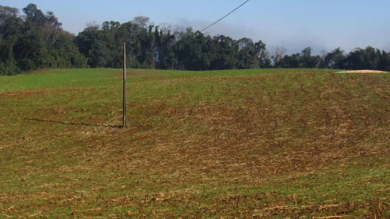 Imagem Terreno para Venda em Concórdia, Santo Antônio