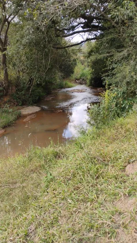 Imagem Fazenda à Venda em Belo Vale/MG | 42 Hectares | R$ 2.800.000,00