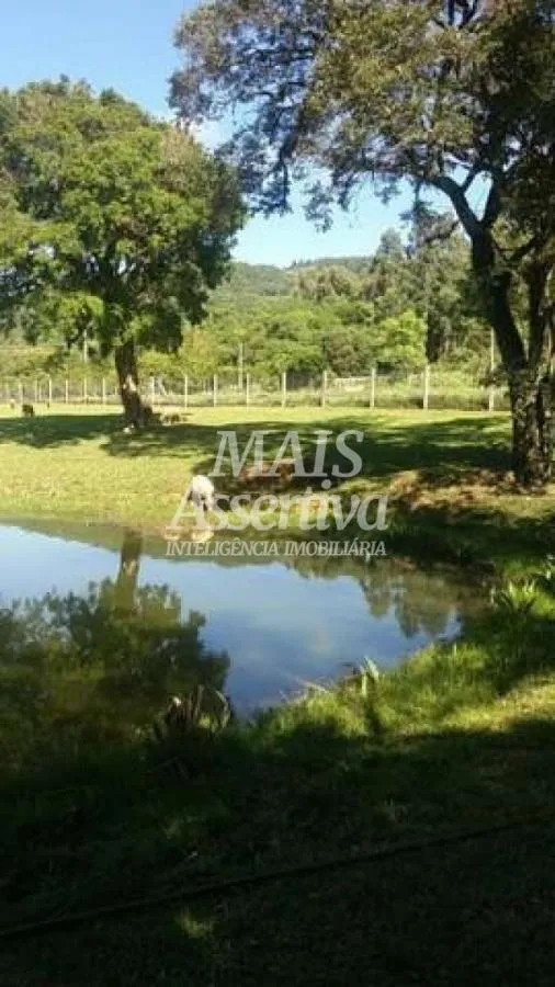 Imagem Sítio para Venda em São Francisco De Paula / RS no bairro Boa Vista