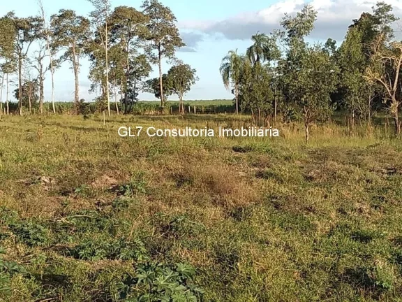 Imagem Área sitio Elias Fausto divisa com Porto Feliz a 30 km de INDAIATUBA SP