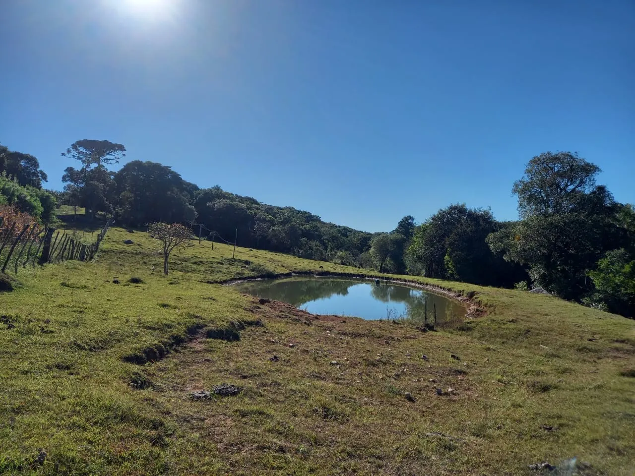 Imagem Sítio para Venda em Pelotas, Cascata, 2 dormitórios, 1 banheiro, 1 vaga