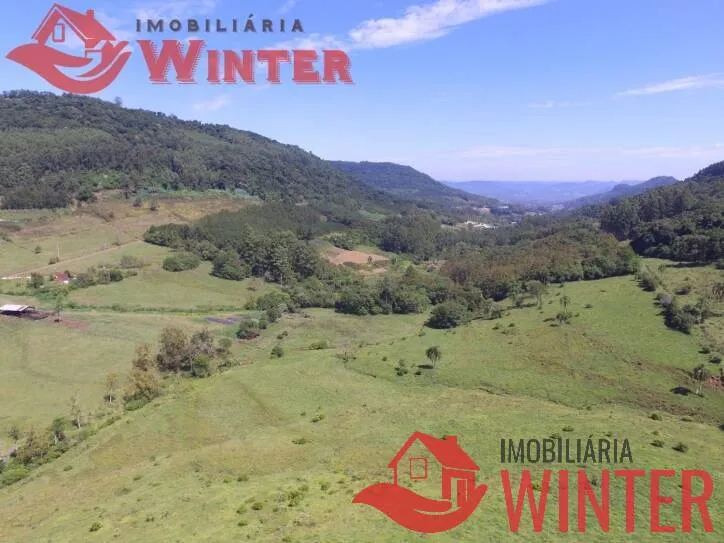 Imagem Fazenda de 61 hectares na cidade de Linha Nova.