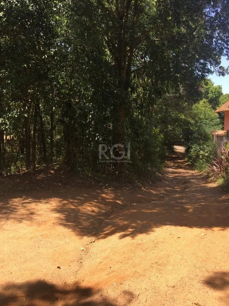 Imagem Terreno em Vila Nova