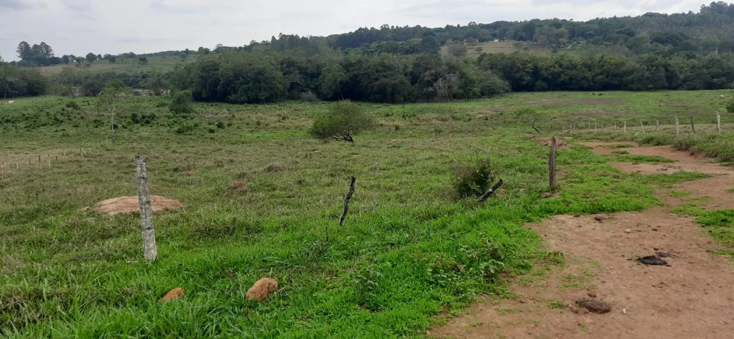 Imagem Terreno à Venda em Carmópolis de Minas 13,5 hectares, todo formado