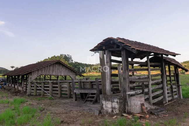 Imagem Chácara | Guaramirim (Tibagi) | 158.500m²