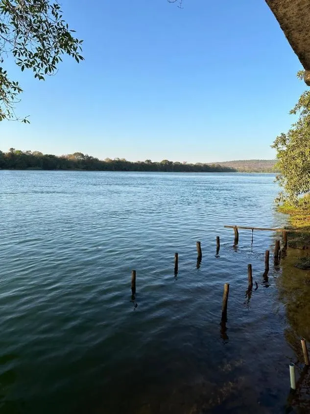 Imagem Fazenda à Venda em Três Marias / MG 355 hectares de terra
