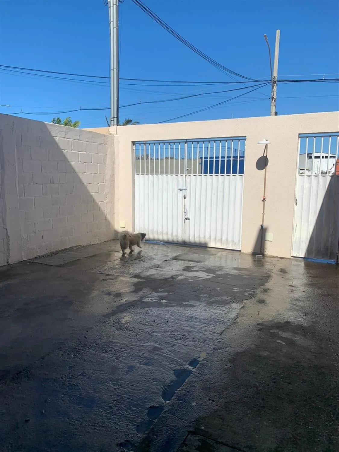 Imagem Casa com 2 quartos à venda em Vila Velha
