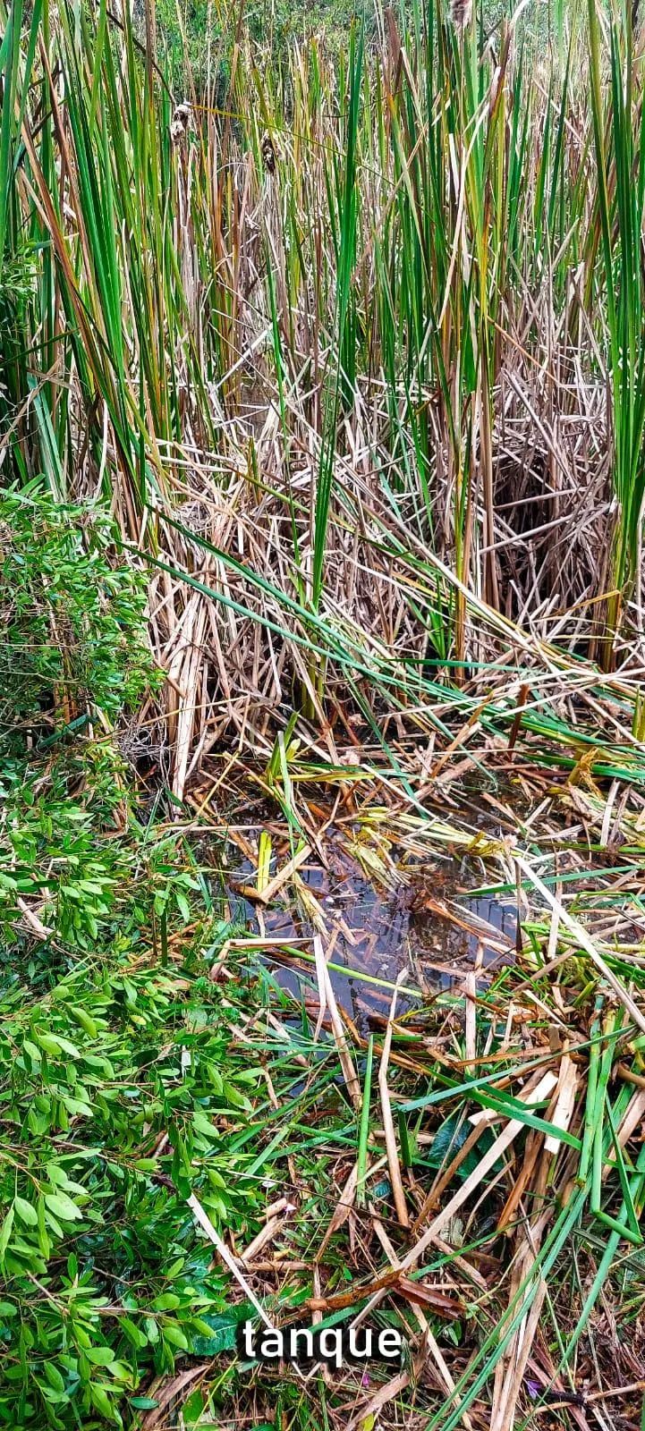 Imagem Chácara com 2 dormitórios à venda,60500.00 m , Guabiroba, GUARAPUAVA - PR