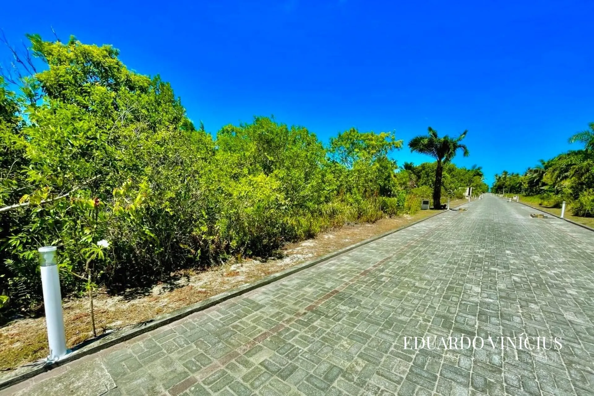 Imagem Dolce Vita Praia - Lote com 1.000m² em Condomínio de LUXO À Venda na Quarta Praia do Morro de São Paulo