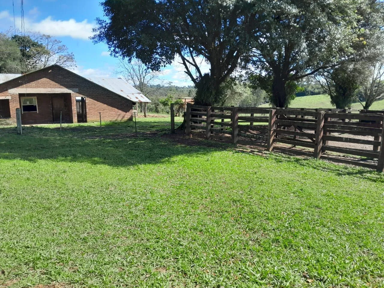 Imagem Fazenda à venda no Vale Verde - RS - 433 hectares. Ideal para Arroz e Soja.