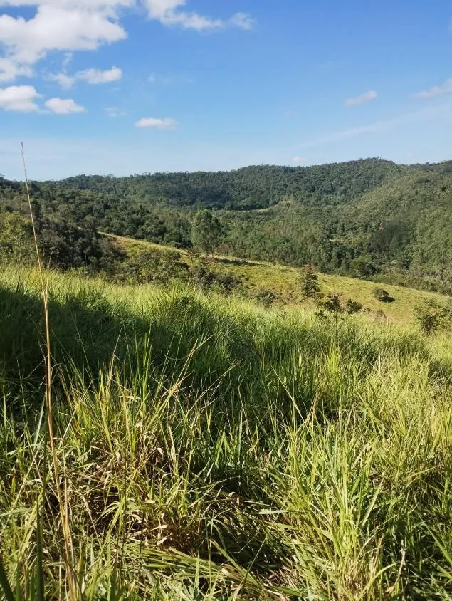 Imagem Excelente Terreno à Venda em Piranga/MG: 36 Hectares com Rica Infraestrutura