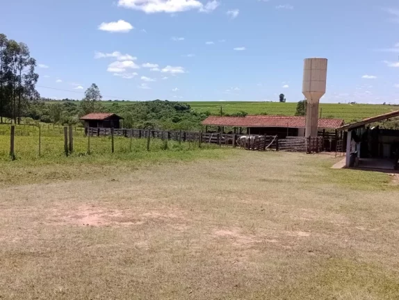Imagem Pratania/SP, Área Rural, Fazenda 25 alqueires