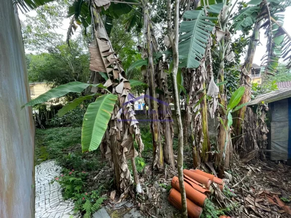 Imagem Terreno na Estufa II
