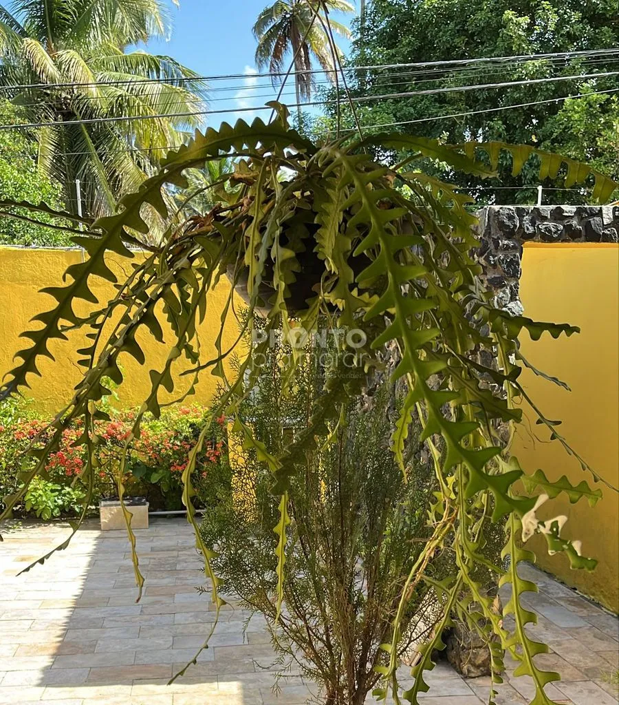 Imagem Casa em Maria Farinha
